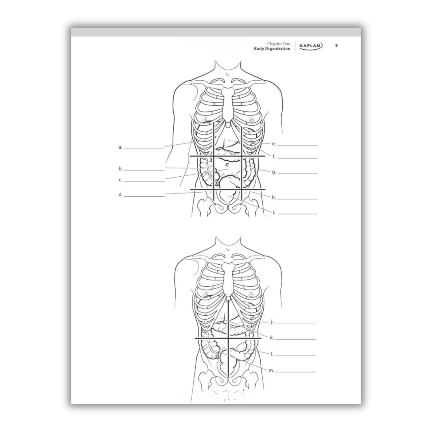 Kaplan's Comprehensive Anatomy Coloring Book: 10th Edition (Spiral Bound) - Korvel