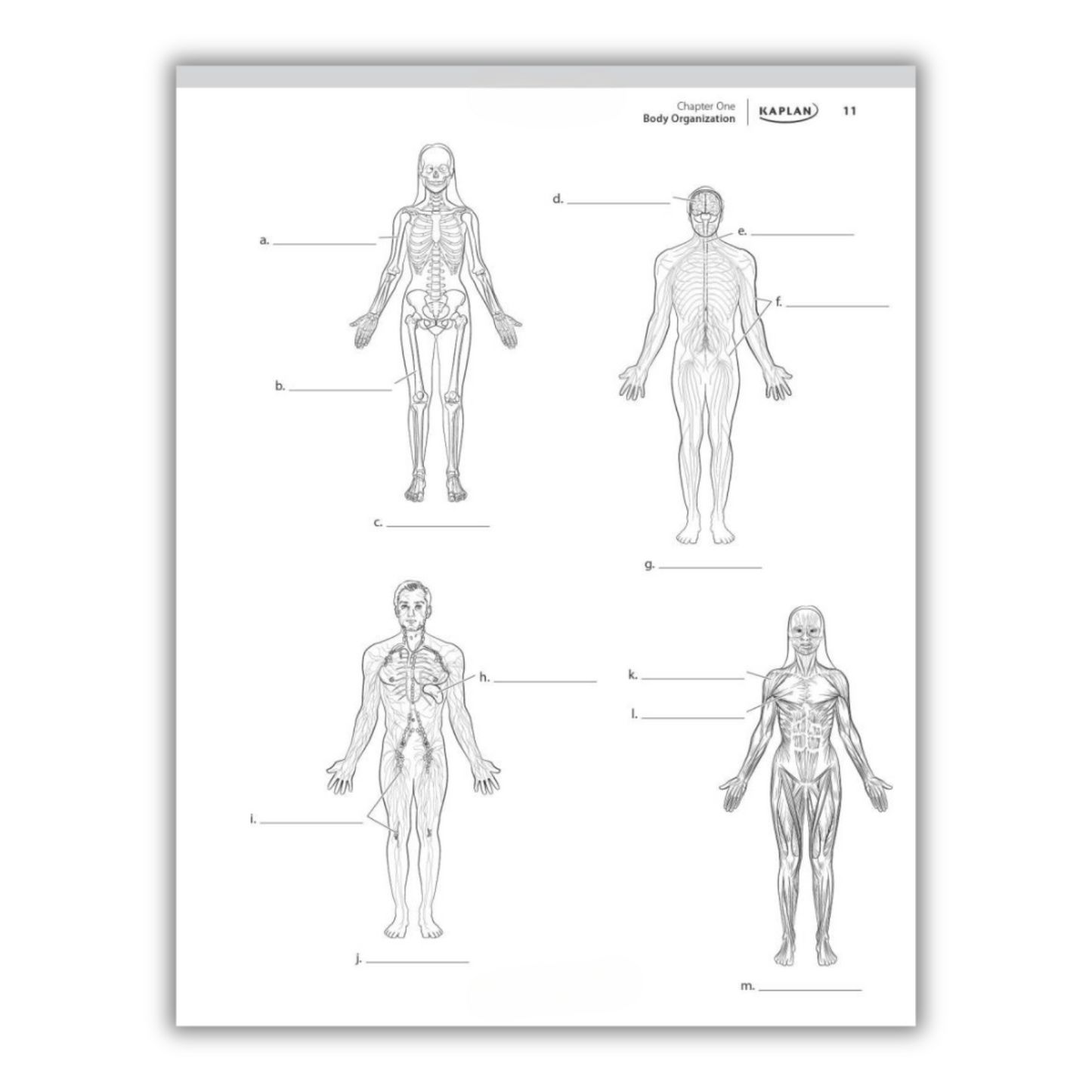 Kaplan's Comprehensive Anatomy Coloring Book: 10th Edition (Spiral Bound) - Korvel
