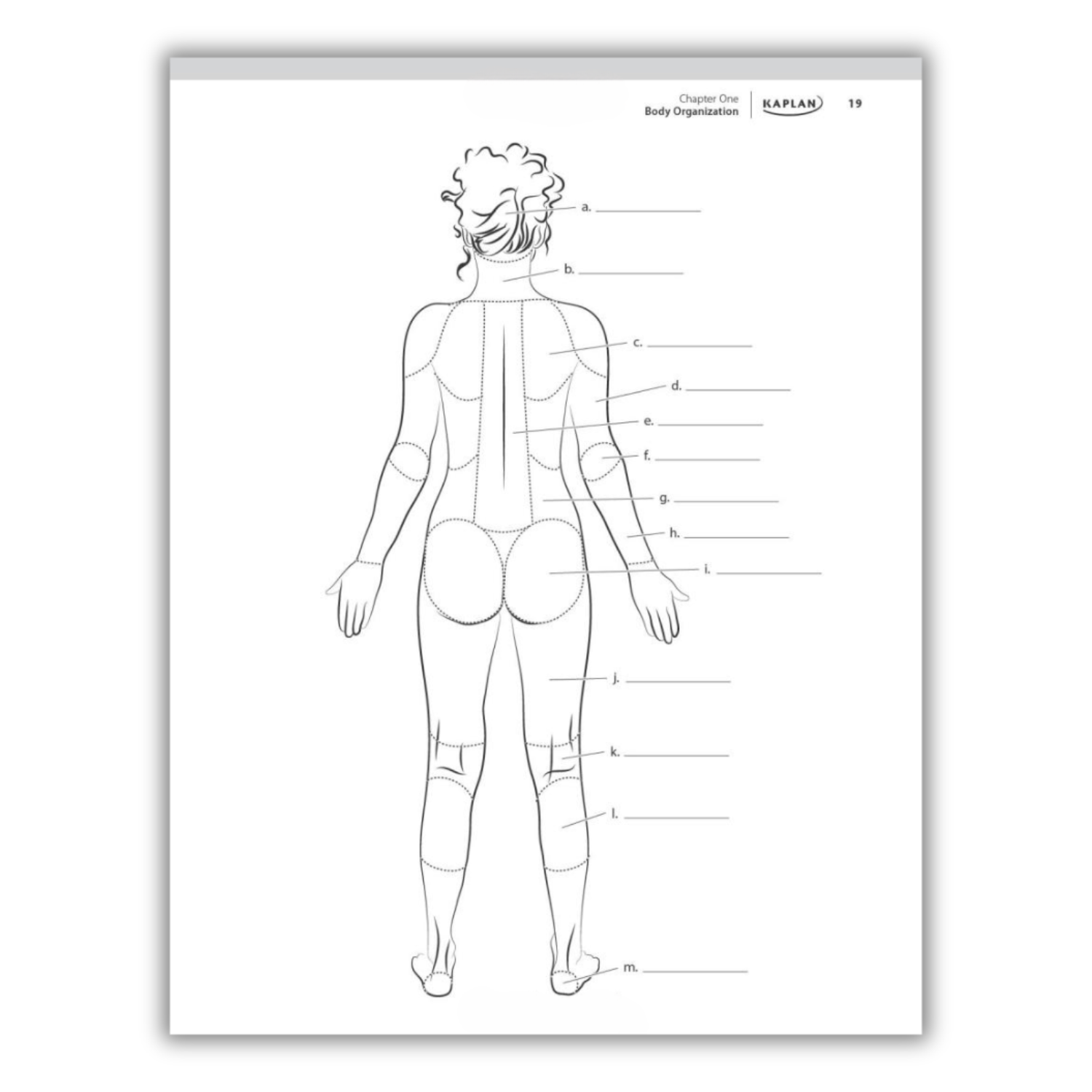 Kaplan's Comprehensive Anatomy Coloring Book: 10th Edition (Spiral Bound) - Korvel