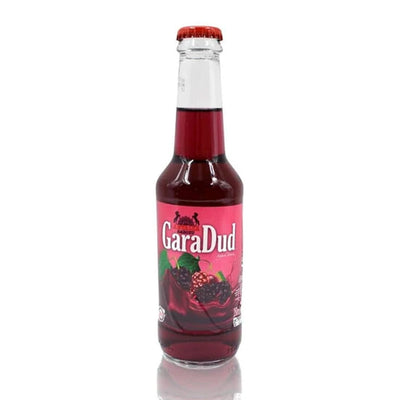 Antalya Garadud Soda 250 ml (8.45 fl oz) – Refreshing Sparkling Drink