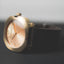 Apex Gold Edition Sports Watch - Korvel