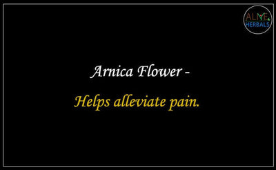 Fleur d'Arnica Premium pour Usage Culinaire