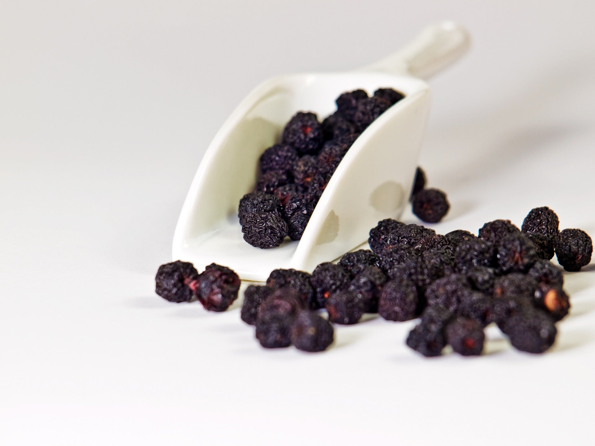 Organic Dried Aronia Berries - Superfood Snack - Korvel