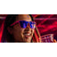 Elevate Your Style with VRG Premium Sunglasses - 'See You At The Party, Richter' - Korvel