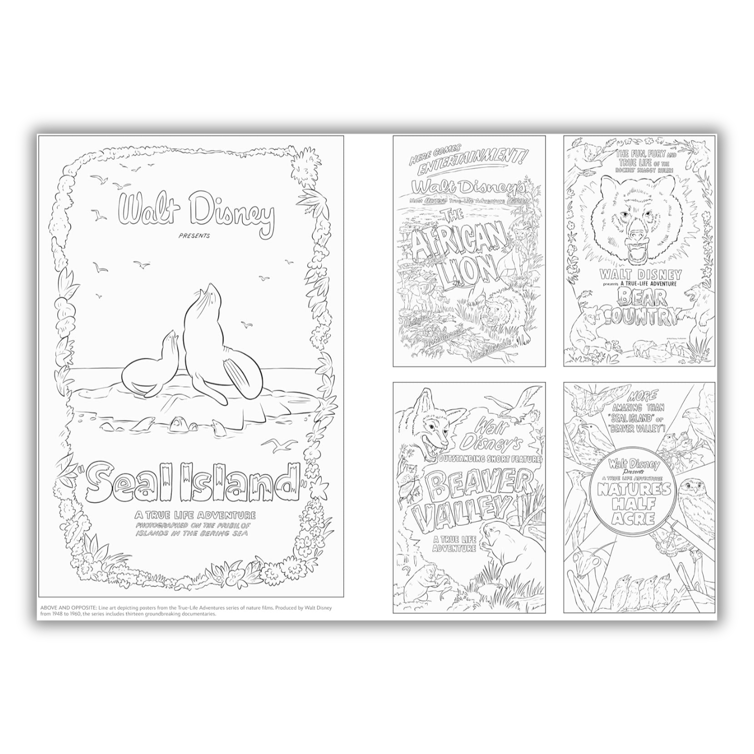 Art of Coloring: Disney 100 Years of Wonder: 100 Images to Inspire Creativity (Spiral-bound) - Korvel