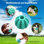 Interactive Treat Ball for Cats and Dogs