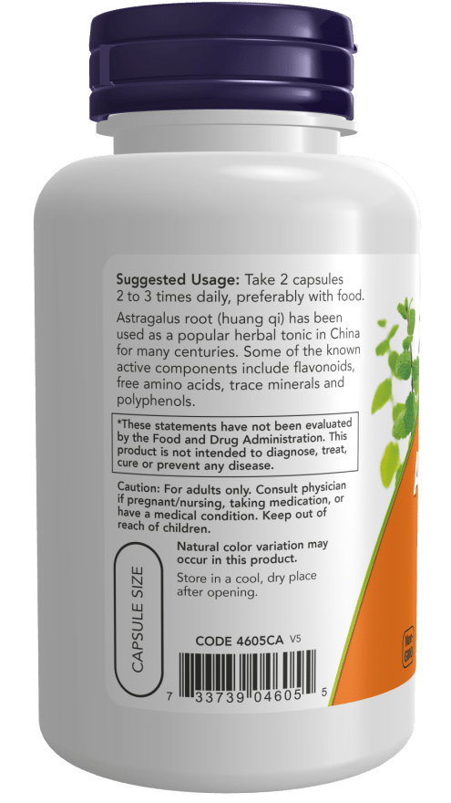 Astragalus 500mg - Premium Herbal Supplement