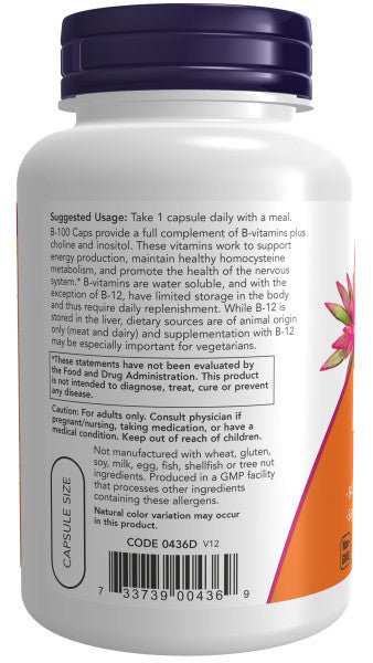 Premium B-100 Complex for Daily Energy Support