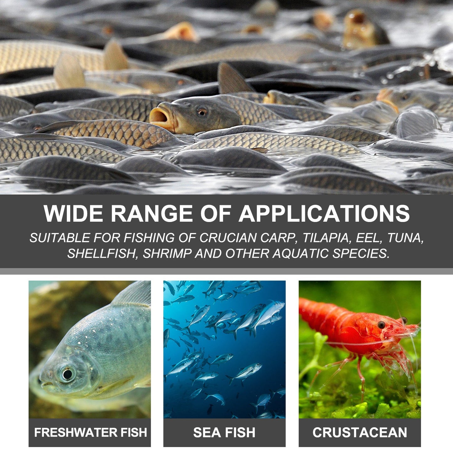 Atractante de Cebo Premium para Entusiastas de la Pesca