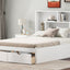 Full Size Platform Bed with Storage Headboard and 2 Drawers, White - Korvel
