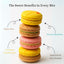 Andy Anand French Macarons Gift Box (48 Pcs) - Unique Flavors