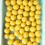 Assortiment de Chocolats Blancs Belges Sans Gluten Andy Anand
