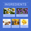 Nourishing Skin Repair Cream for Gentle Moisturizing Care