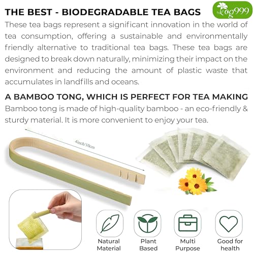 FreshDrinkUS Herbal Tea Duo: Turmeric Ginger Cinnamon & Moringa Leaf