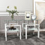 Set of 2 Modern Tempered Glass Coffee Tables