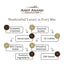 Caja de Regalo de Trufas de Chocolate Belga Andy Anand – Selección Gourmet (25 Pcs)