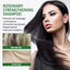 Rosemary Shampoo, Prevents Hair Loss Oil Control Fluffy And Smooth Shampoo - Korvel
