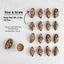 Andy Anand Dark Chocolate Almond Croissants - 10 Handcrafted Treats