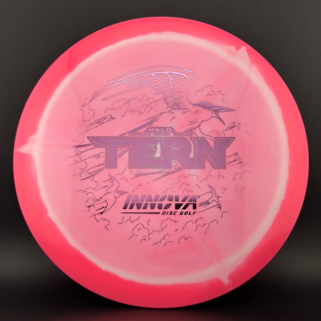 Innova Halo Star Tern Disc Golf Driver