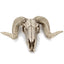 Horned Skull Wall Hanging Creative Home Living Room Decor Retro Resin Craft - Korvel