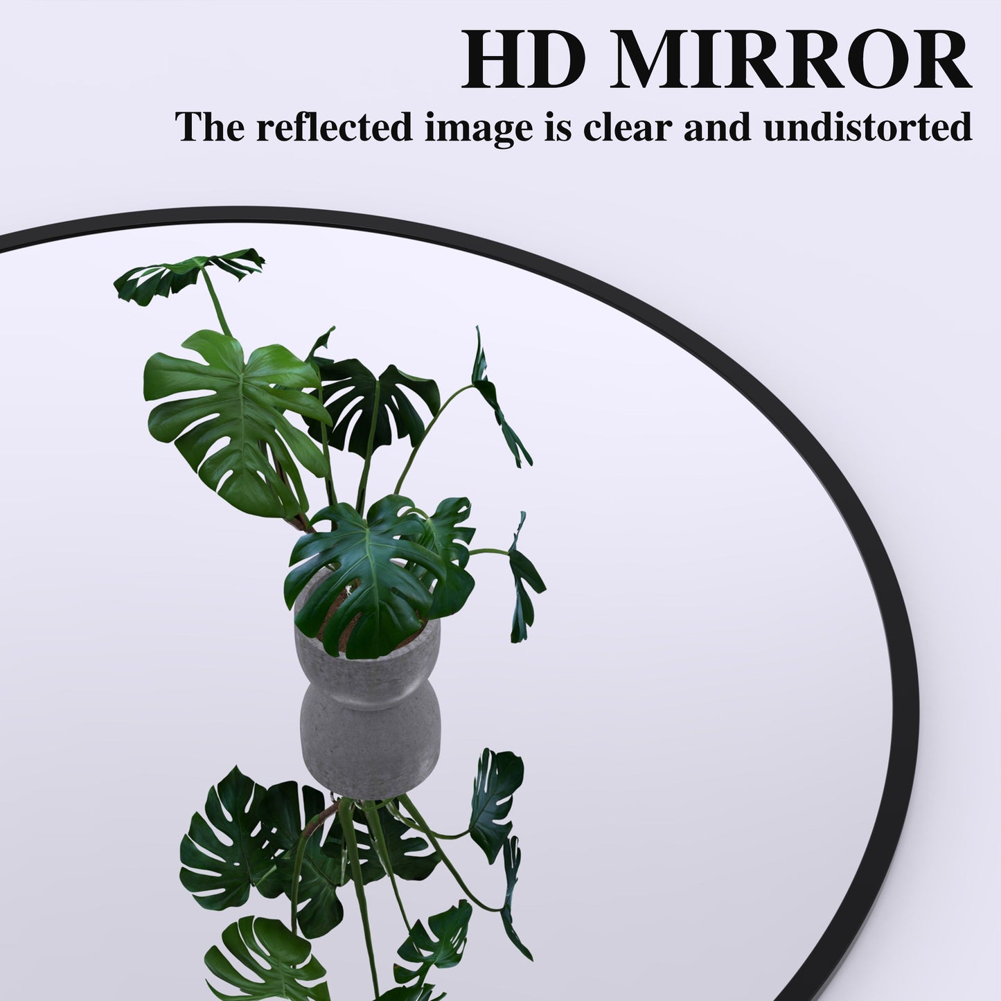 71" x 32" Oversized Full Body Mirror - Elegant Black Frame