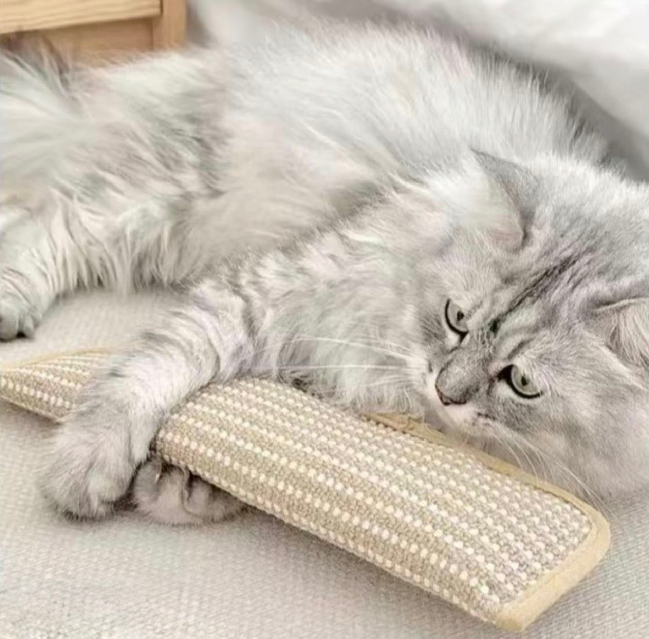 CatNip Fury Kicker - Korvel