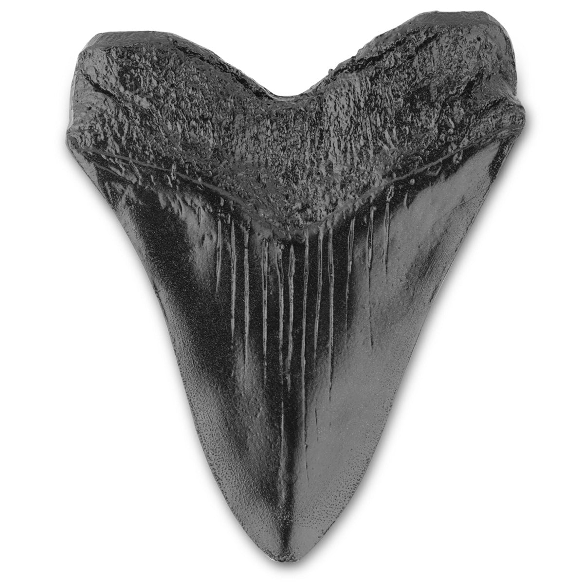Retro Simulation Shark Teeth Resin Decor