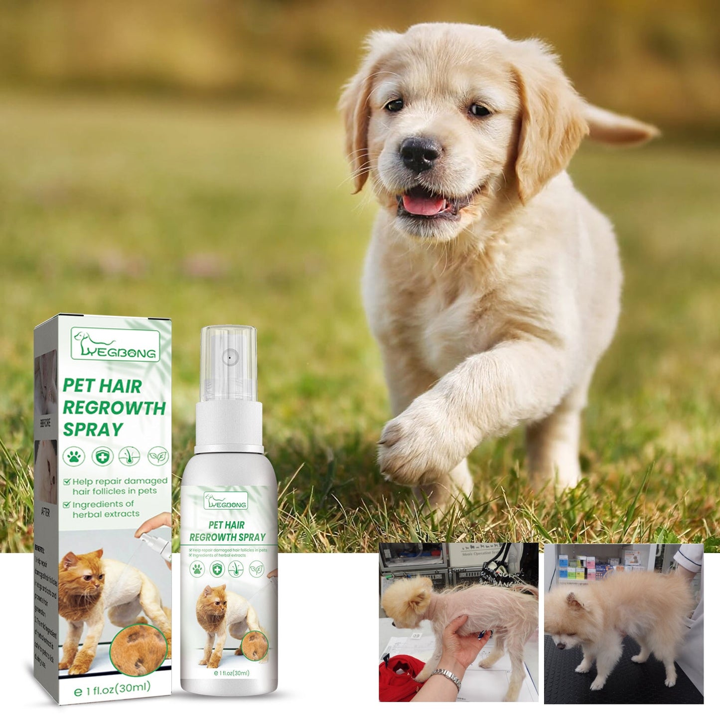 Pet Hair Growth Spray for Cats and Dogs - Hair Care Treatment for Damaged Follicles and Hair Loss - Korvel
