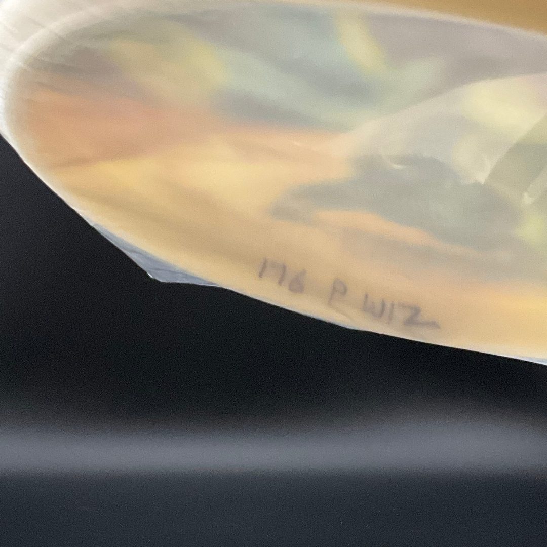 Disque Platinum Wizard - Édition Limitée par Michael Barnard