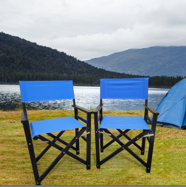 Folding Chair Wooden Director Chair Canvas Folding Chair Folding Chair 2pcs/set populus + Canvas (Color : Blue) - Korvel