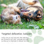 Pet Location Training Agent for Waste Positioning