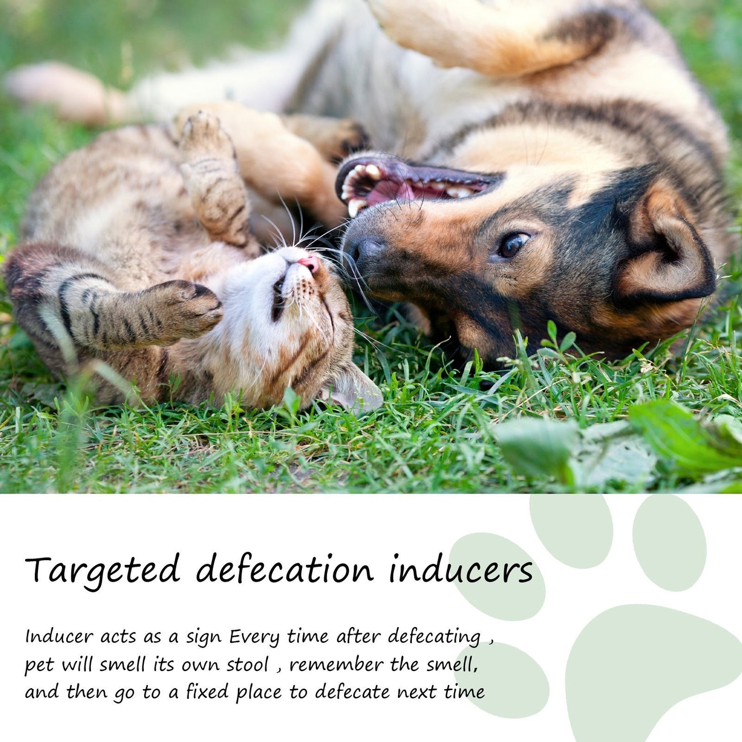 Pet Location Training Agent for Waste Positioning