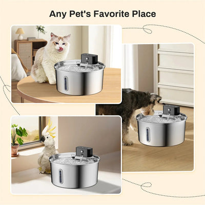Pet intelligent water dispenser, wireless automatic sensing, cat water dispenser, 304 stainless steel water feeder - Korvel