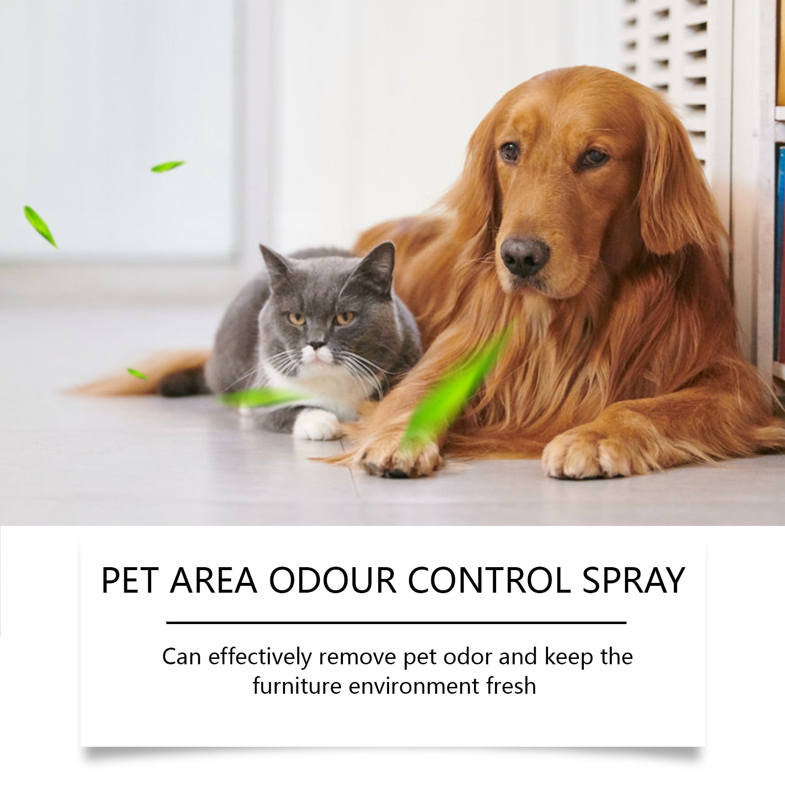 Pet Odor Spray, Indoor Pet Area Odor Cleaning And Fragrance Lasting Guardian Refreshing Spray - Korvel
