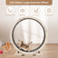 Cat Exercise Wheel for Indoor Cats - Natural Wood Finish