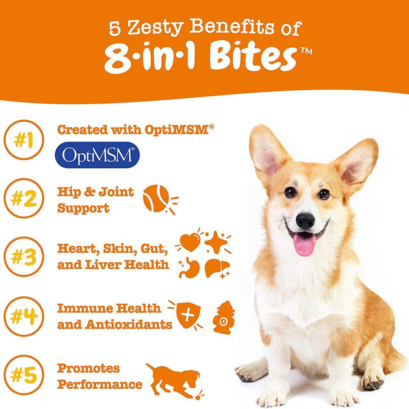 Supplément nutritionnel multifonctionnel premium pour chiens