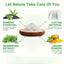 DetoxSoothe Foot Pads - Korvel