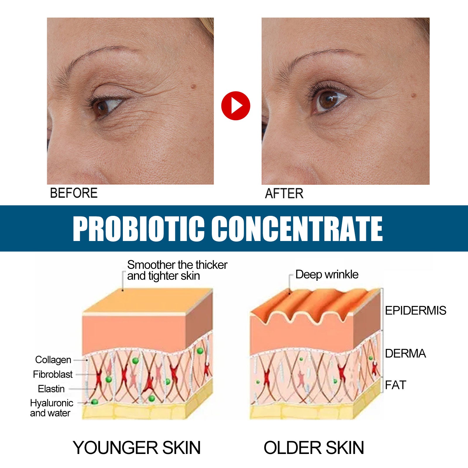 V89 Probiotic Serum Gently Nourishes Facial Skin Hydrating Skin Care Serum - Korvel