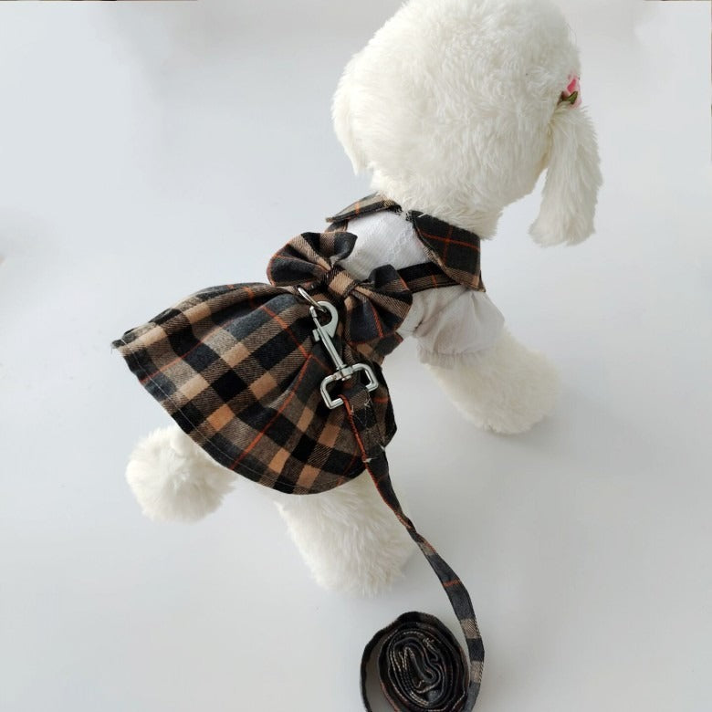 Robe Premium pour Animaux de Compagnie Élégants