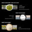 Intelligence Capsule Brain Capsule - Korvel