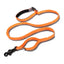 Pet dog leash with elastic cushioning suitable for outdoor activities such as running and waist tying - Korvel