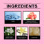 Peach Pink Ball Perfume, Small Fresh Roller Perfume Fresh Light Fruit Peach Ball Perfume - Korvel
