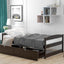 Espresso Twin Size Platform Bed with Two Drawers