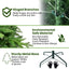 5FT PE&PVC Prelit Christmas Tree - Korvel