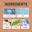 Car Interior Cleaning Agent, Leather Fabric Plastic Effective Cleaning And Stain Removal Cleaner - Korvel