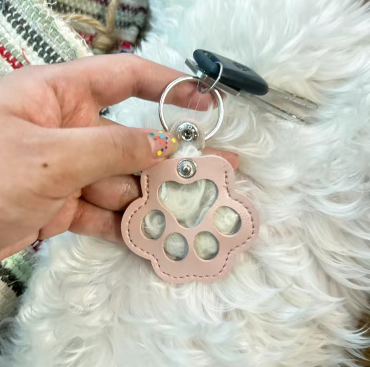 PawCharm Keychain - Korvel
