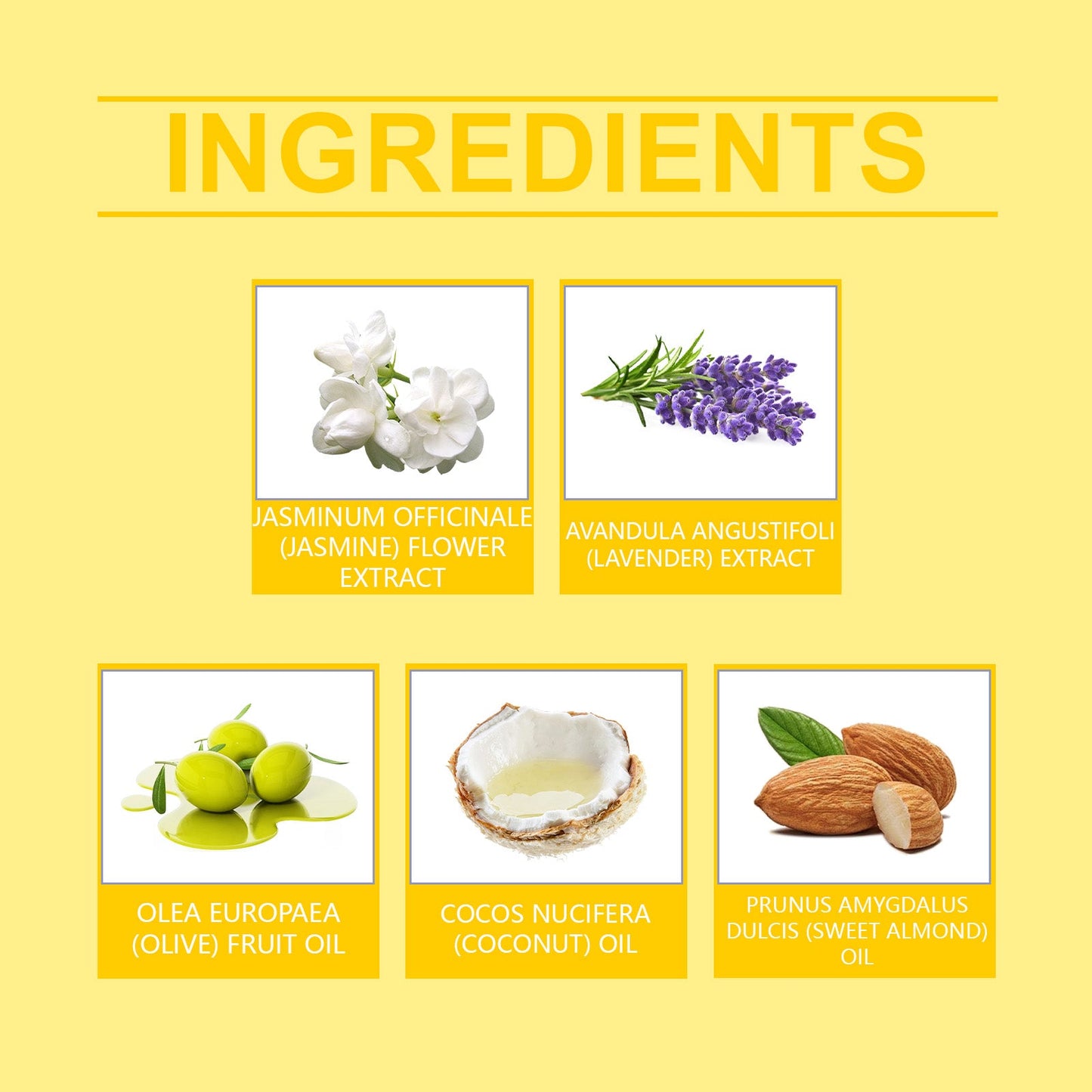 Long-Lasting Fragrance Shower Gel with Jasmine & Lavender