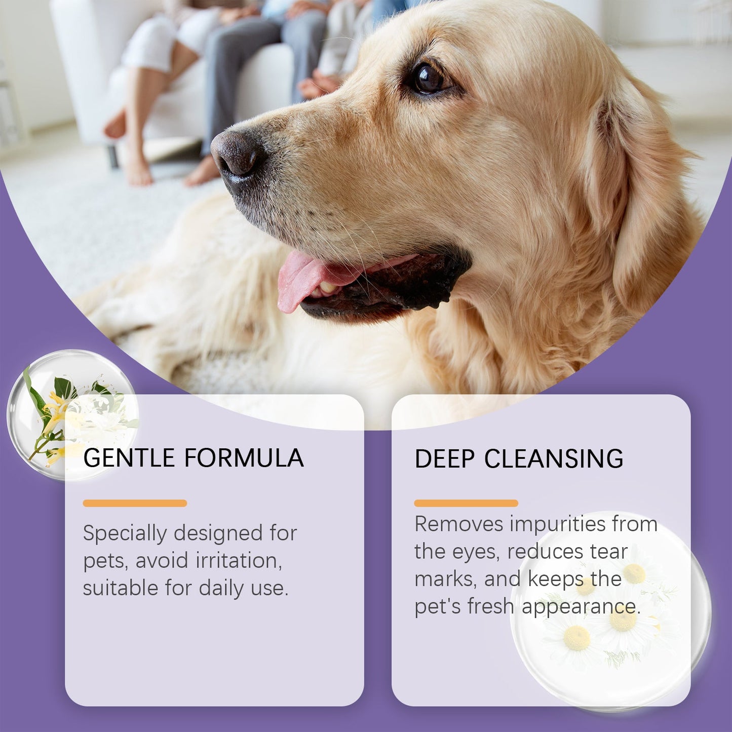 Gentle Eye Wash For Pets Gently Cleans The Eye Dirt Of Pet Cats And Dogs - Korvel