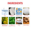 Probiotic Bright White Teeth Mousse, Deep Cleaning Stains And Tartar White Teeth Fresh Breath Gum Care - Korvel