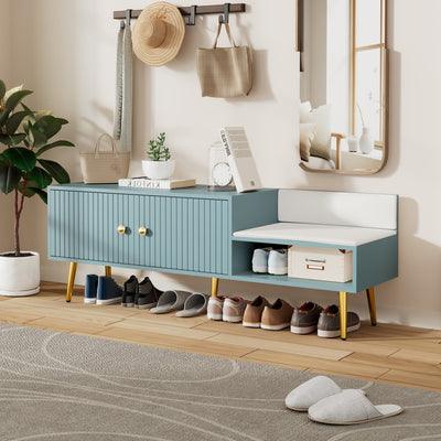 Modern Tiffany Blue Shoe Storage Bench with Cushions